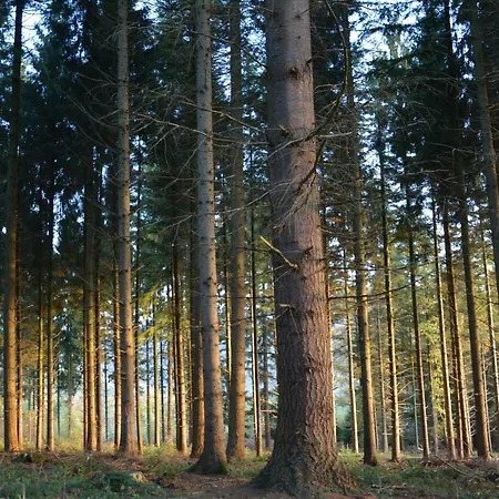 In Дом отдыха