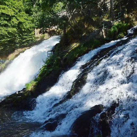 In Дом отдыха Ставело