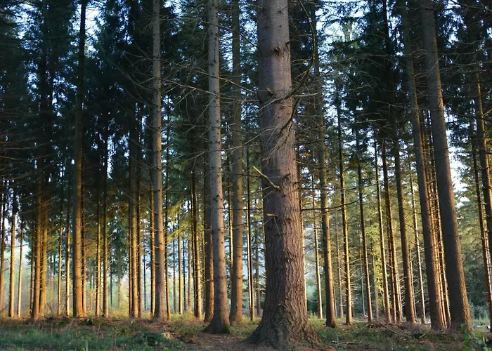 In بيت للعطل