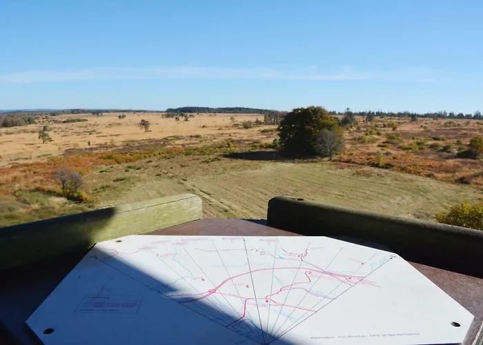 In * ستافيلوت