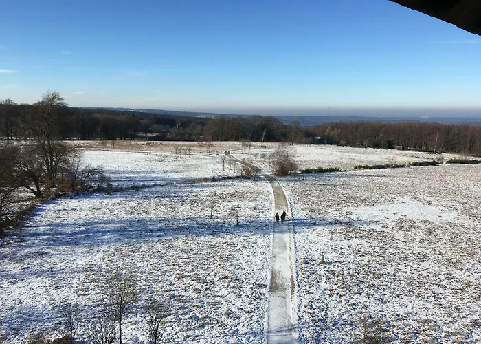 In بيت للعطل